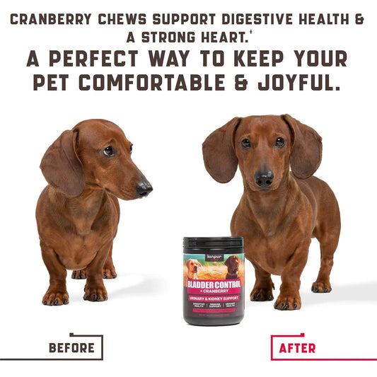 180 Cranberry UT Health Dog Chews - MANDOTOS
