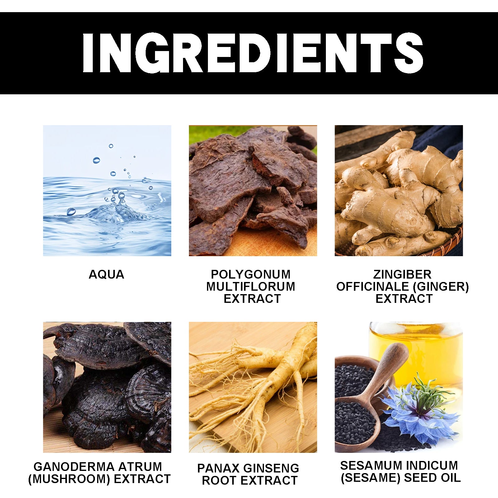 Polygonum Multiflorum Essence Black Hair Shampoo - MANDOTOS