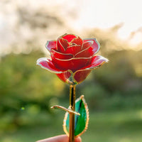 24K Gold Plated Rose Gift - MANDOTOS