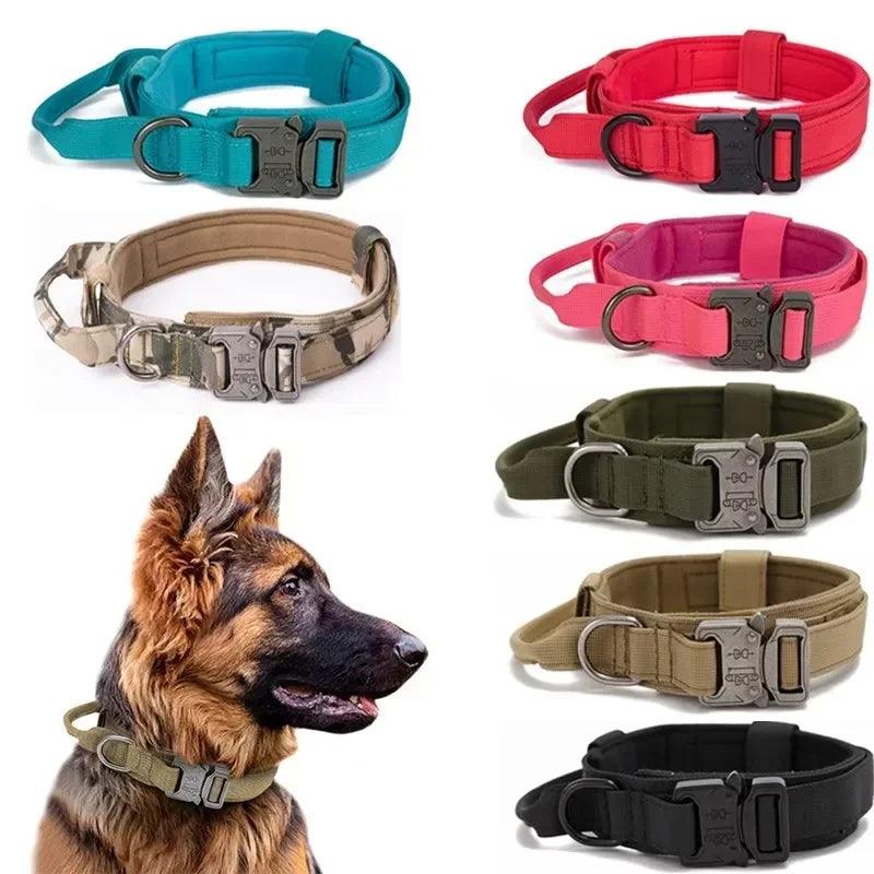 Rugged Canine Control Collar Set - MANDOTOS