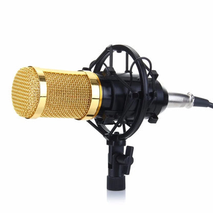 Professional BM-800 BM Condenser Microphone Pro Audio Studio Vocal Recording KTV Karaoke Desktop Metal Shock Mount