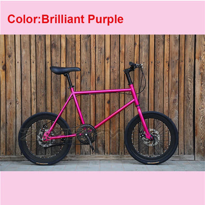 20 Inch Bike Single Speed Fixie Bike Double Dsic Brake Bicycle Freewheel Frame Mini Bicycle Height Adjustable 75-90cm