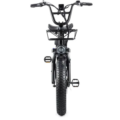Commuter electric bicycle adult double riding removable battery long battery life wide fat tire