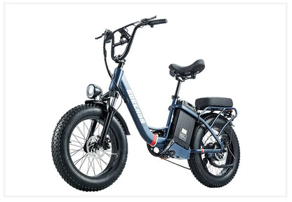 Commuter electric bicycle adult double riding removable battery long battery life wide fat tire