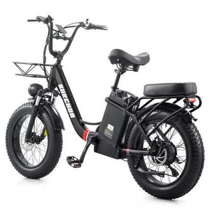 Commuter electric bicycle adult double riding removable battery long battery life wide fat tire