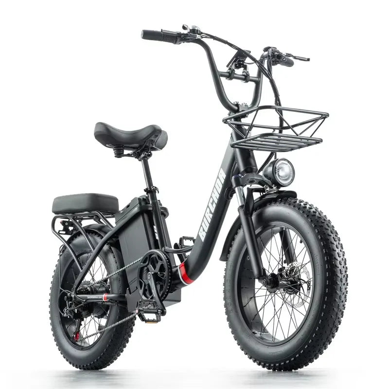 Commuter electric bicycle adult double riding removable battery long battery life wide fat tire