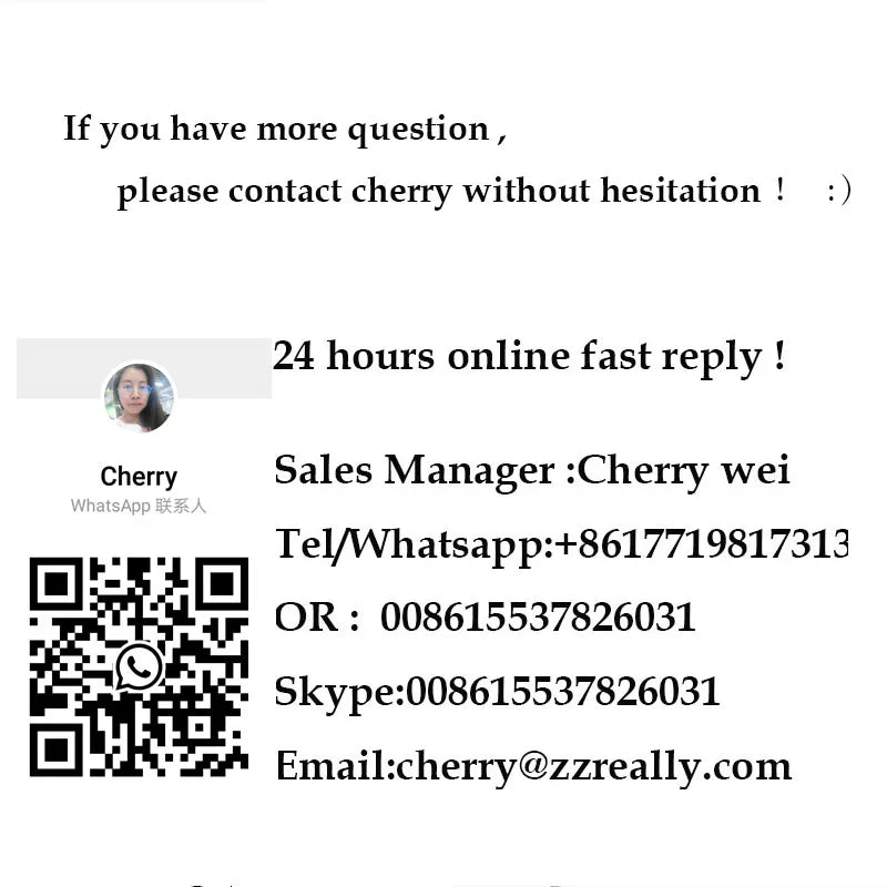 3 Wheels Pedal Electric Cargo Bike Dutch Adult Tricycle Family Bicycle Street Kids Scooter for Sale Customizable