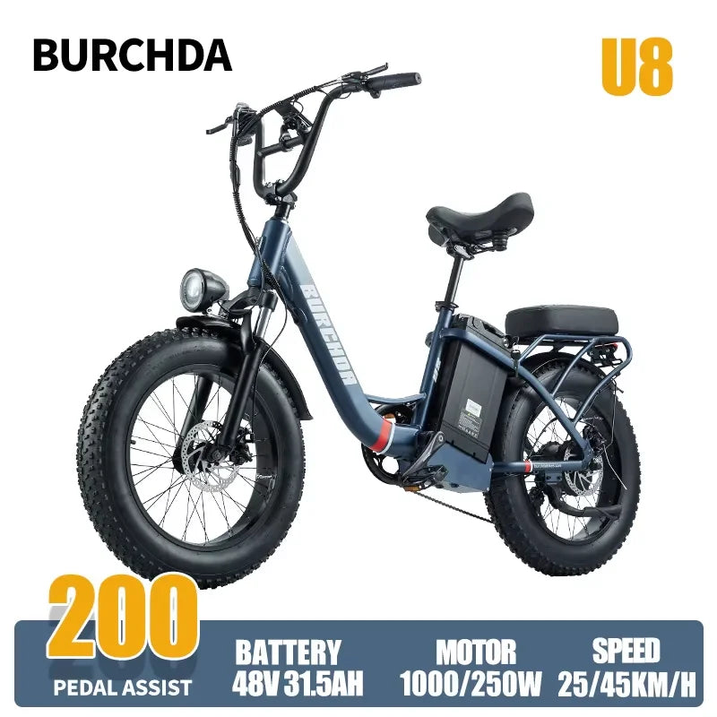 Commuter electric bicycle adult double riding removable battery long battery life wide fat tire