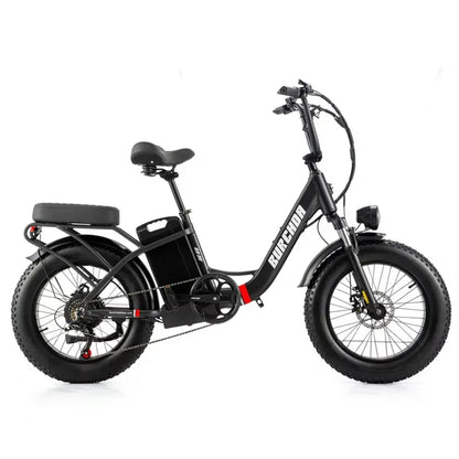 Commuter electric bicycle adult double riding removable battery long battery life wide fat tire