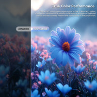 ZEUSLAP 15.6" FHD 100%sRGB 300Nits Ultra thin Back Stand Design Portable Monitor for Phone Gaming Laptop