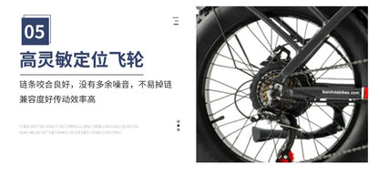 Commuter electric bicycle adult double riding removable battery long battery life wide fat tire