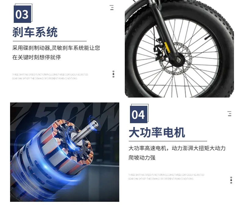 Commuter electric bicycle adult double riding removable battery long battery life wide fat tire