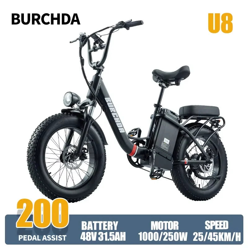 Commuter electric bicycle adult double riding removable battery long battery life wide fat tire