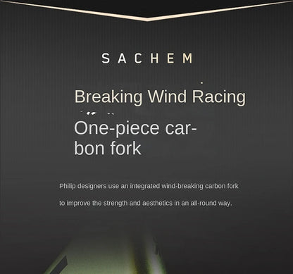 2025 New Ultra-Light Carbon Fiber Road Bike Fast Racing Bicycle with Hydraulic Disc Brakes 16/24-Speed Gear Shift Drop Handlebar