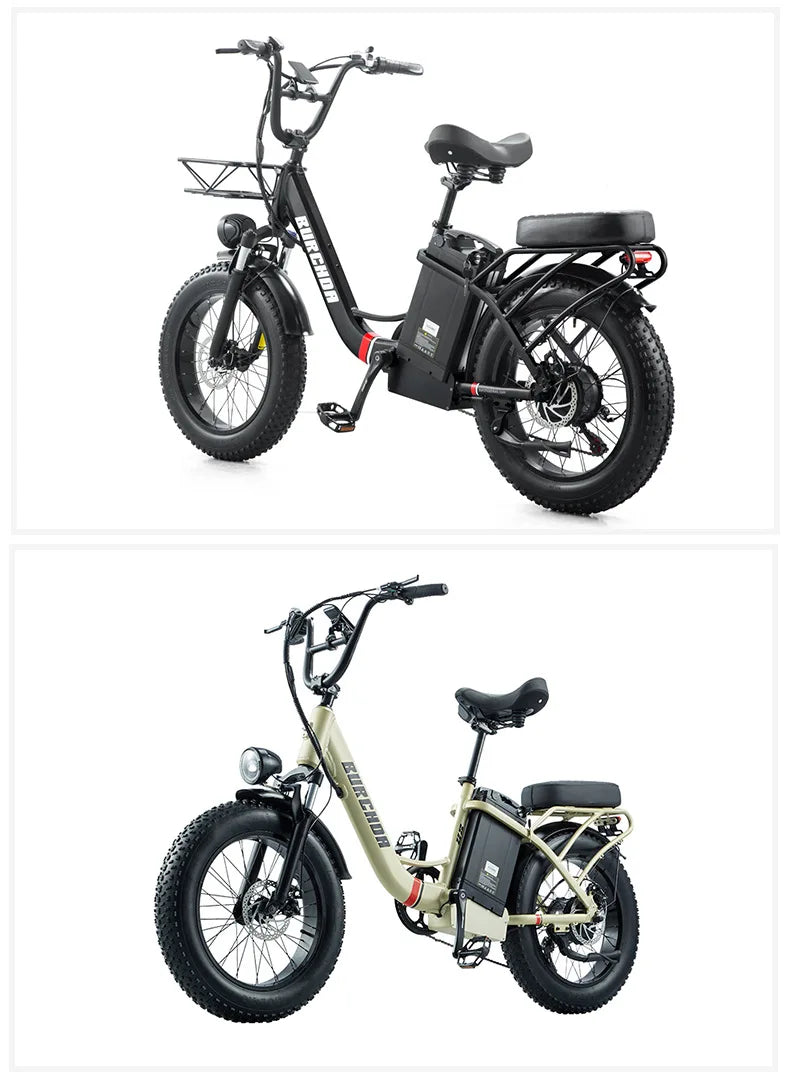 Commuter electric bicycle adult double riding removable battery long battery life wide fat tire