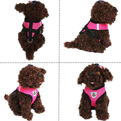 Adjustable Reflective Pet Harness with Leash - MANDOTOS