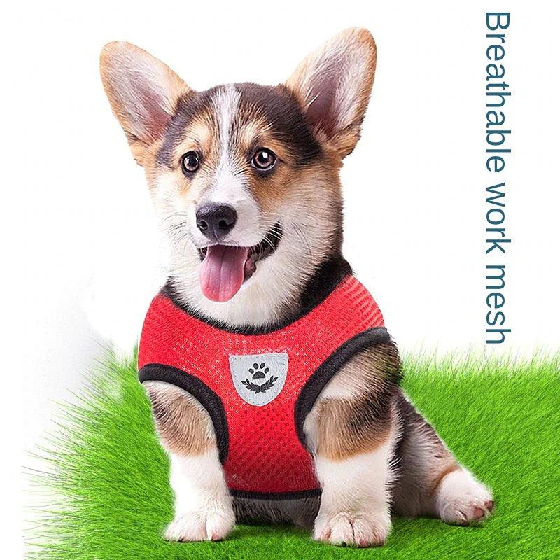 Adjustable Reflective Pet Harness with Leash - MANDOTOS