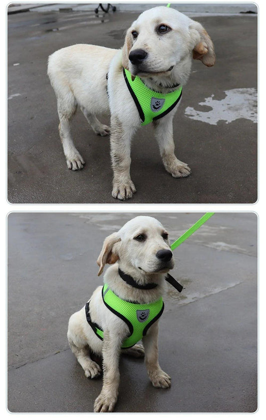Adjustable Reflective Pet Harness with Leash - MANDOTOS