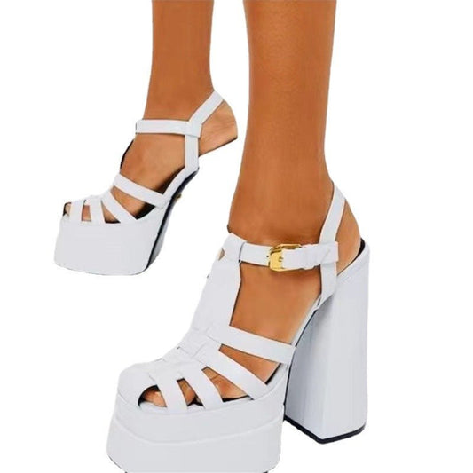 Ancient Energy summer thick heels high heels with fish mouth design, stylish footwear for Europe and the US fashion trends.