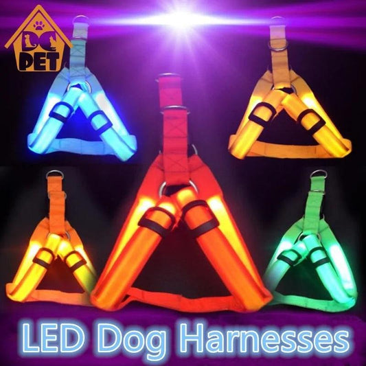 Bright Night Pet LED Harness - MANDOTOS