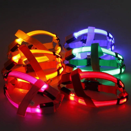 Bright Night Pet LED Harness - MANDOTOS
