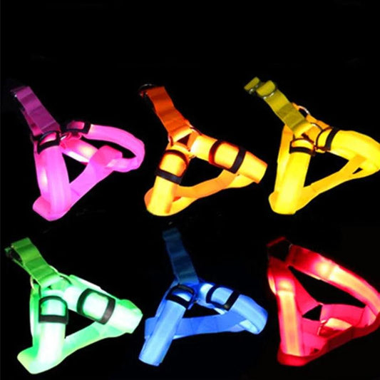 Bright Night Pet LED Harness - MANDOTOS