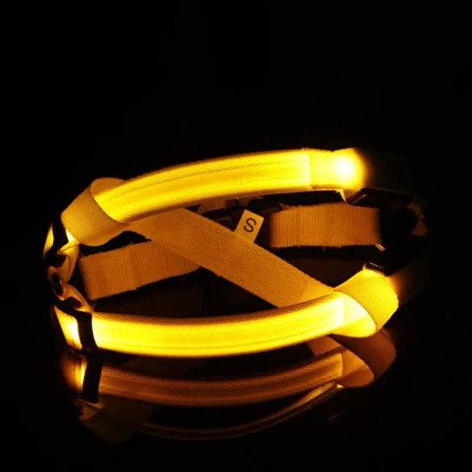 Bright Night Pet LED Harness - MANDOTOS