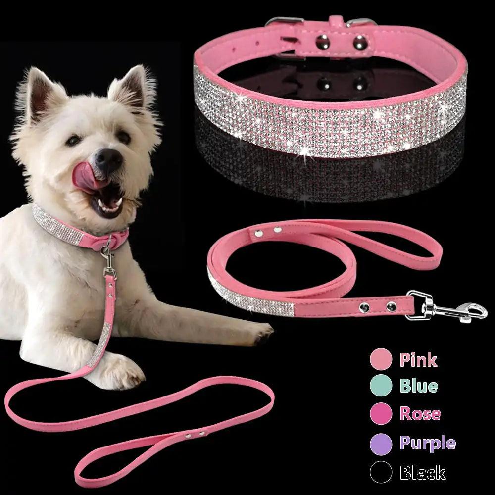Chic Pet Walk Set - MANDOTOS