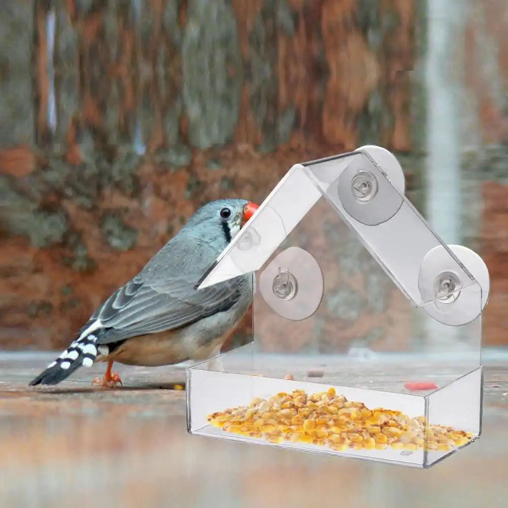 Clear View Suction Bird Feeder - MANDOTOS