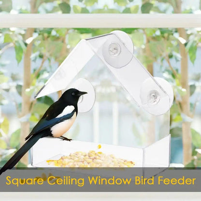 Clear View Suction Bird Feeder - MANDOTOS