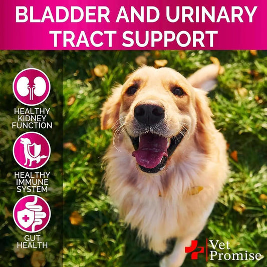 Cranberry Dog UTI & Bladder Control Chews - MANDOTOS