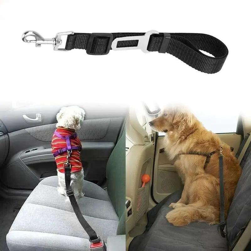 Dual Pet Car Safety Belts - MANDOTOS