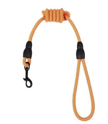 Durable Nylon Pet Leash - MANDOTOS