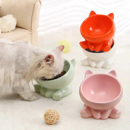Ergonomic Ceramic Pet Bowl - MANDOTOS