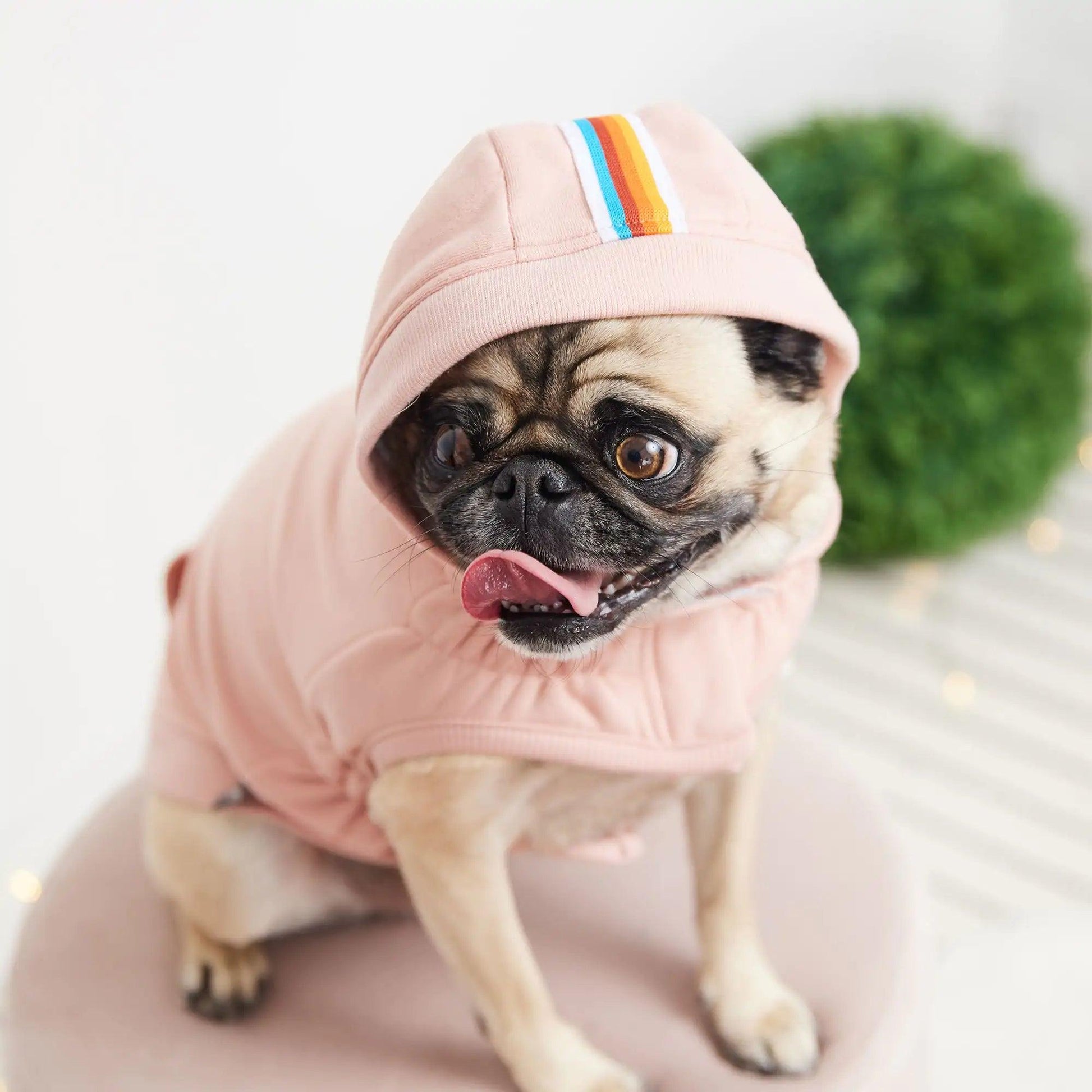 Flexi-Fit City Pup Hoodie - Pink - MANDOTOS