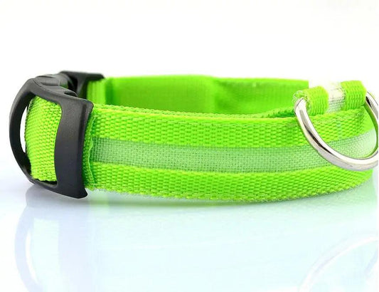 Glowing Night Safety Pet Collar - MANDOTOS