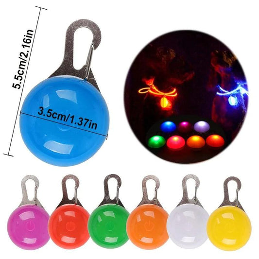 Glowing Night Safety Pet Collar - MANDOTOS