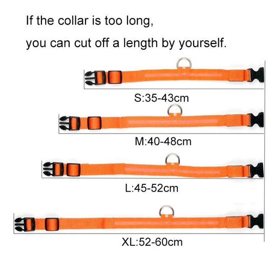 Glowing Night Safety Pet Collar - MANDOTOS