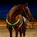 GlowRide Nylon Horse Harness - MANDOTOS