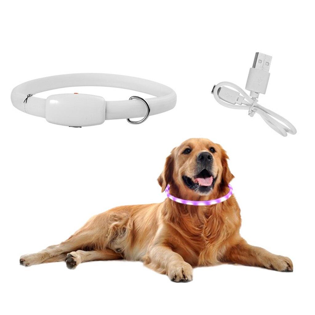 GlowSafe Dog Collar - MANDOTOS