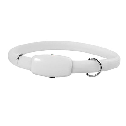 GlowSafe Dog Collar - MANDOTOS