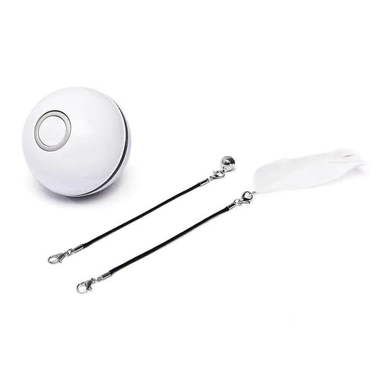 Laser LED Catnip Fun Ball - MANDOTOS