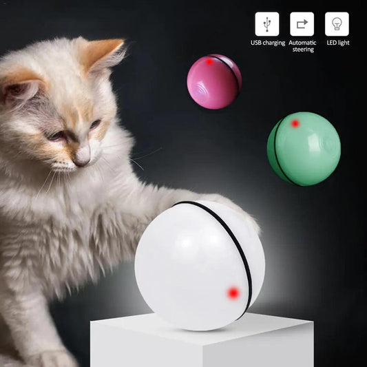 Laser LED Catnip Fun Ball - MANDOTOS