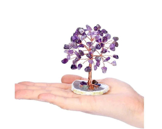Mandotos Harmony Energy Feng Shui Trees in a decorative display with lush green foliage and natural wooden trunks.