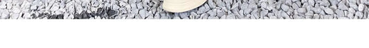 Plus size American Hole high-waist straight-leg denim women’s pants by MANDOTOS, showing front view with distressed details.
