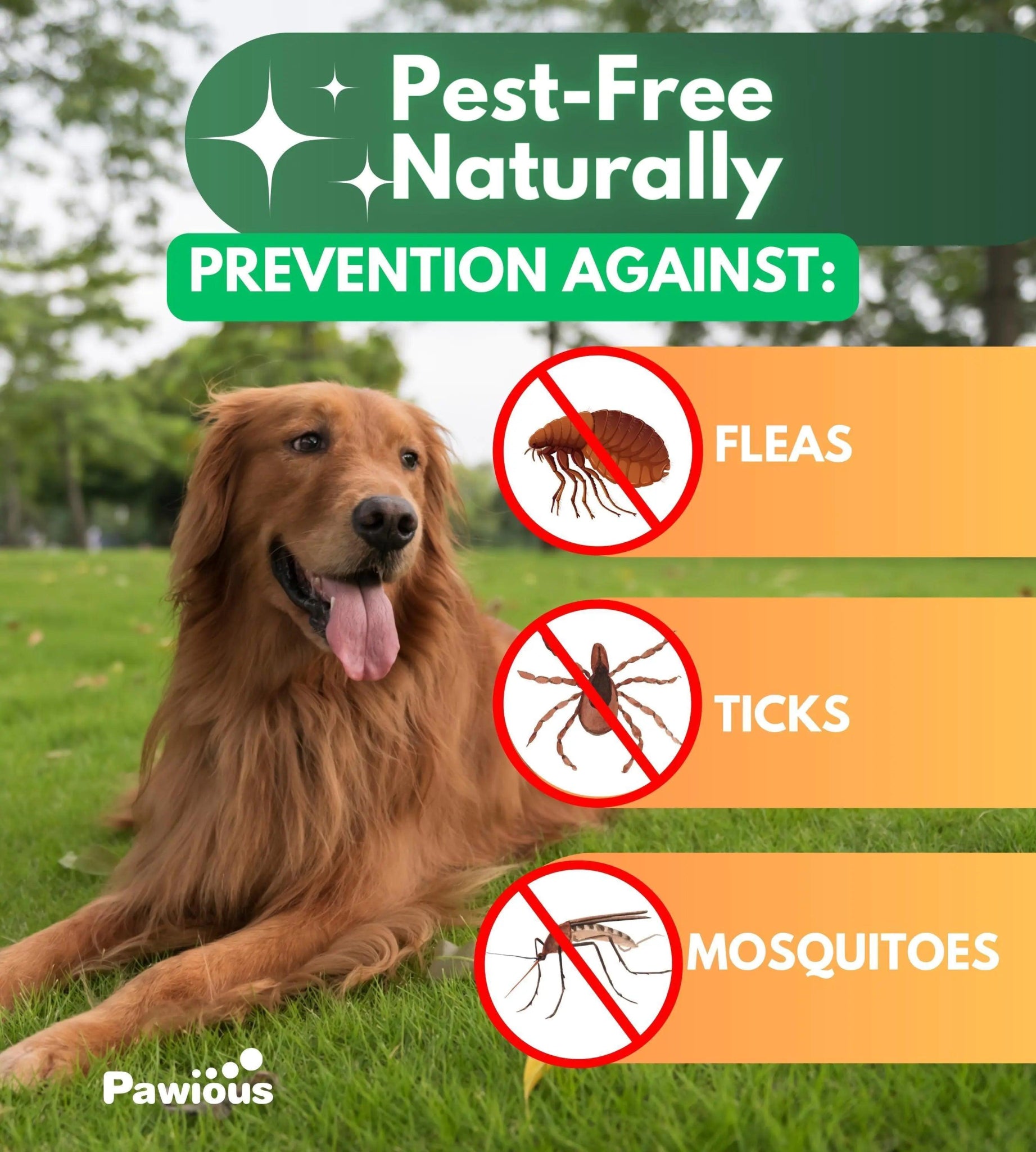 Natural Flea & Tick Guard Chewables for Dogs 120ct - MANDOTOS