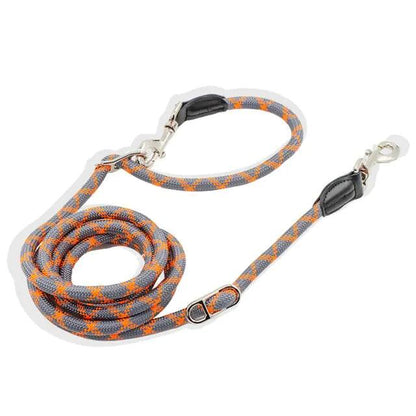 NightSafe Reflective Dog Leash - MANDOTOS
