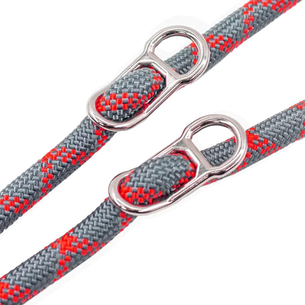 NightSafe Reflective Dog Leash - MANDOTOS