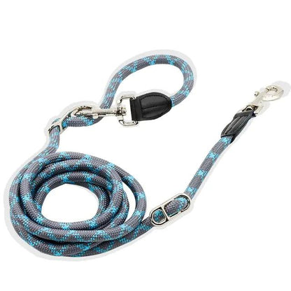NightSafe Reflective Dog Leash - MANDOTOS