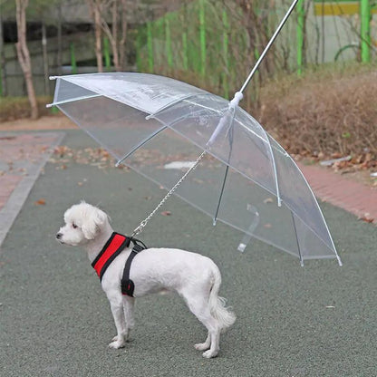 Rainwalk Pet Umbrella Leash - MANDOTOS